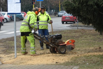 Odstránenie pňov v meste a v mestskom parku