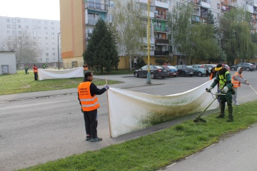 Jarná kosba trávy