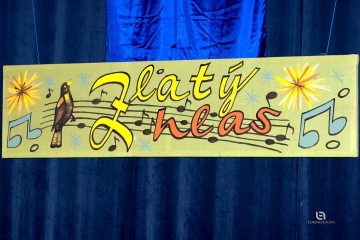 Zlatý hlas 2014