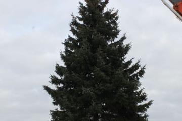 Inštalácia vianočného stromčeka v meste