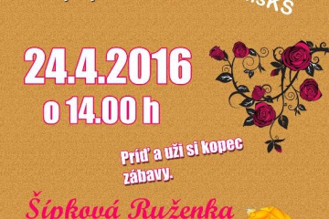 Nedeľné rozprávkové popoludnie 10: Šípková Ruženka