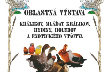 42. ročník Oblastnej výstavy králikov, mláďat králikov, hydiny, holubov a exotického vtáctva