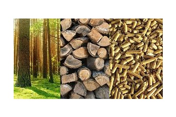 Výsledok rokovania o petícii občanov proti znečisťovaniu ovzdušia z prevádzky kotolne  Trebišovskej energetickej, s. r. o.
