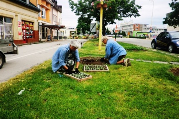 Výsadba letničiek do záhonov na Ul. M. R. Štefánika