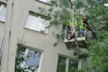 Úprava korún stromov na Komenského ulici