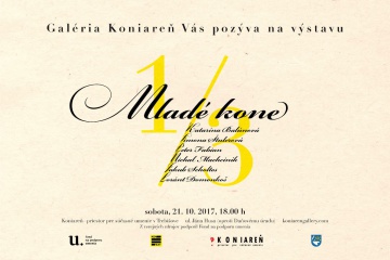 Galéria KONIAREŇ: Mladé kone 1/3
