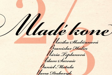 Výstava - Mladé kone 2/3