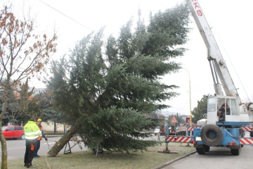 Prípravy na Vianoce v meste vrcholia! Už sa pred MsKS vyníma vianočný stromček
