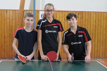 Výsledkový servis: Stolný tenis 5.3., 10.3. a 11.3.