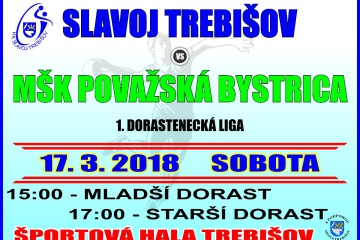 Hádzaná: HK Slavoj Trebišov - MŠK Považská Bystrica