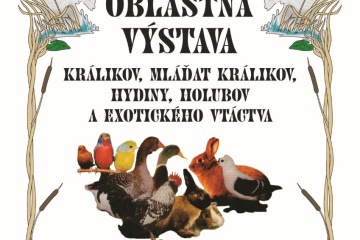 Oblastná výstava králikov, mláďat králikov, hydiny, holubov a exotického vtáctva