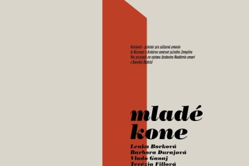 Galéria KONIAREŇ: Mladé kone I.