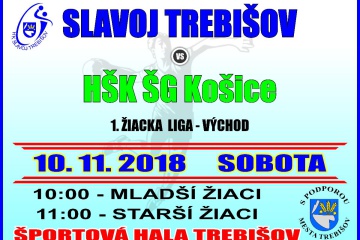 Hádzaná: Slavoj Trebišov - HŠK ŠG Košice