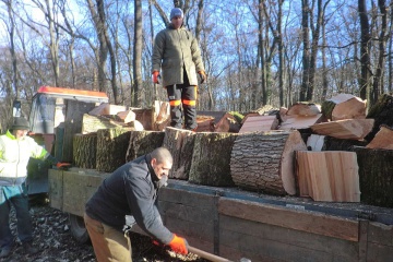 Odstraňovanie kalamitného dreva z mestského parku pracovníkmi MsHS