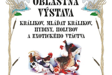 Oblastná výstava králikov, mláďat králikov, hydiny, holubov a exotického vtáctva