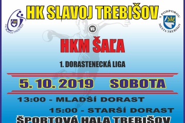 Hádzaná: HK Slavoj Trebišov - HKM Šaľa