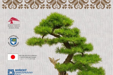 17. ročník národnej výstavy bonsajov a suiseki