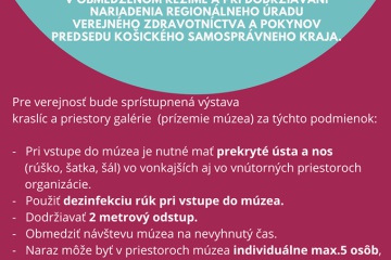 Pokyny pre verejnosť v súvislosti s otvorením trebišovského múzea