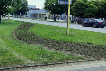 Výsadba letničiek v centre mesta