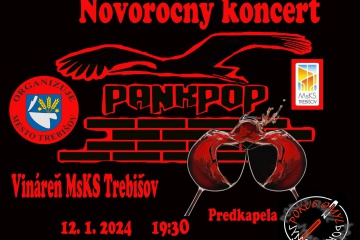 Novoročný pankpopový koncert