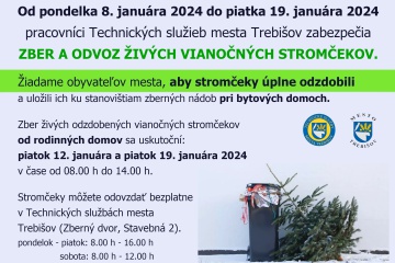 Zber a odvoz živých vianočných stromčekov