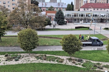 Pripravujeme nový trvalkový záhon v severnej časti mesta