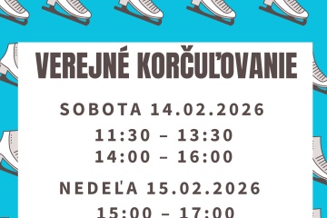 Verejné korčuľovanie