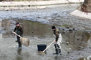 Sobotňajší výlov rýb v mestskom rybníku