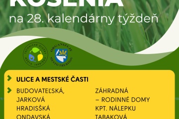 Plán kosenia