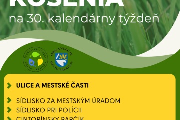 Plán kosenia