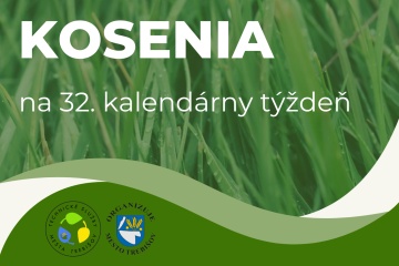 Plán kosenia