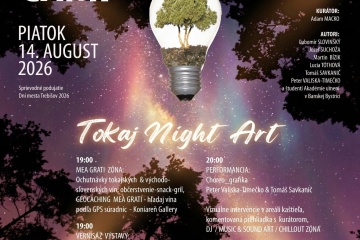 PARK CAMP 12 – Tokaj night art_DMT 2026