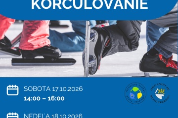 Verejné korčuľovanie