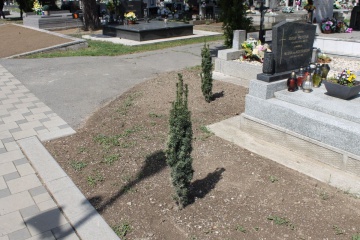 Náhradná výsadba na mestskom cintoríne