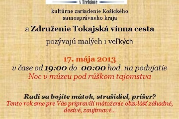 Noc v múzeu